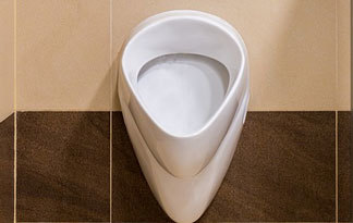 Bild: Urinal Eigenheim