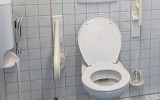 Bild: Ein Klo mit mehreren Haltegriffen