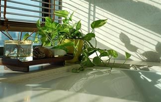 Bild: Badewanne mit Dekoration