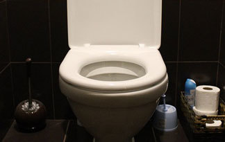 Bild: Toilette mit klassischen Bestandteilen