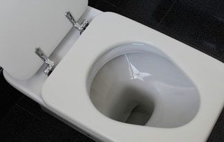 Bild: Toilette mit Deckel und Brille